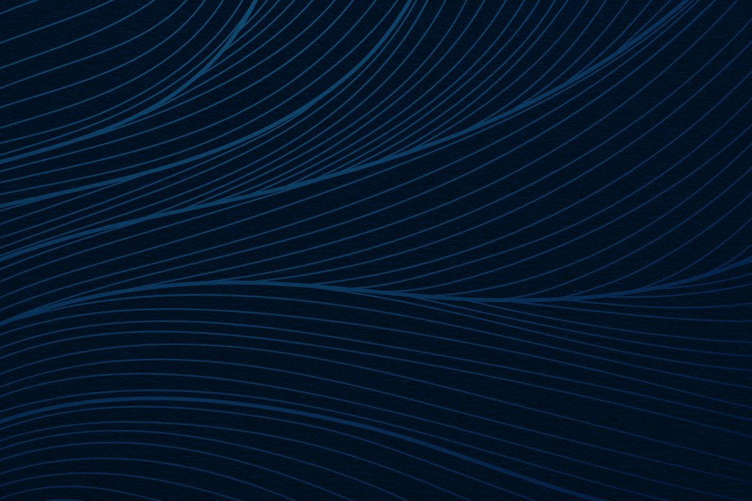 Fanfare 2026 Header_No Text