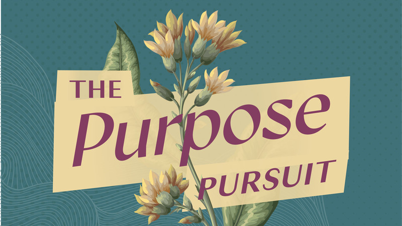 A graphic that has The Purpose Pursuit in colorful lettering
